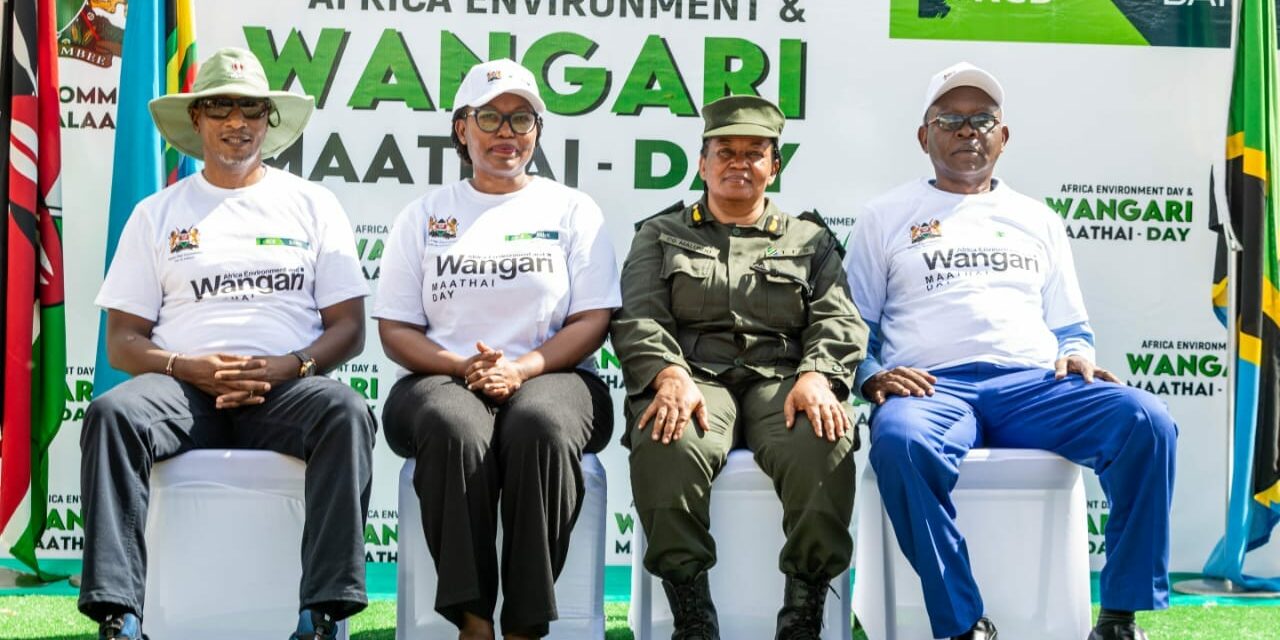 433230942_723944359928529_3366747117114792024_n