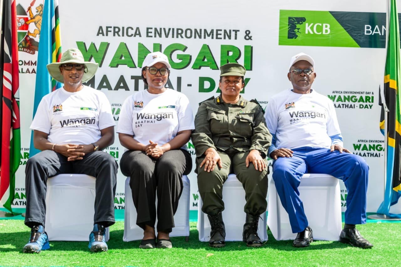 433230942_723944359928529_3366747117114792024_n